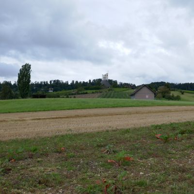 097 Blick auf die Kirche von Wil-ZH
